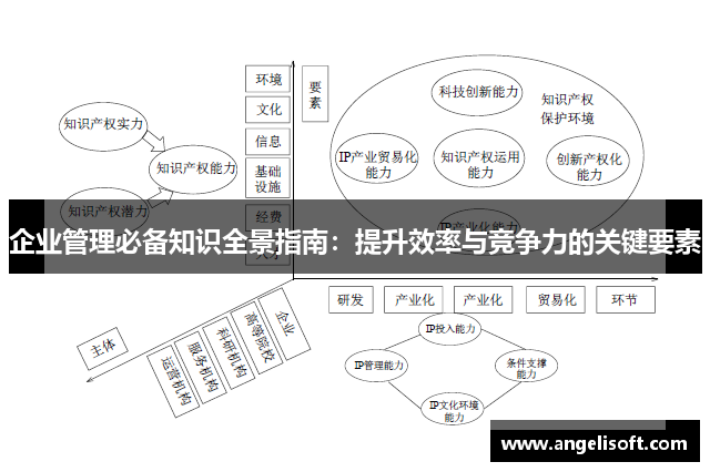 企业管理必备知识全景指南：提升效率与竞争力的关键要素